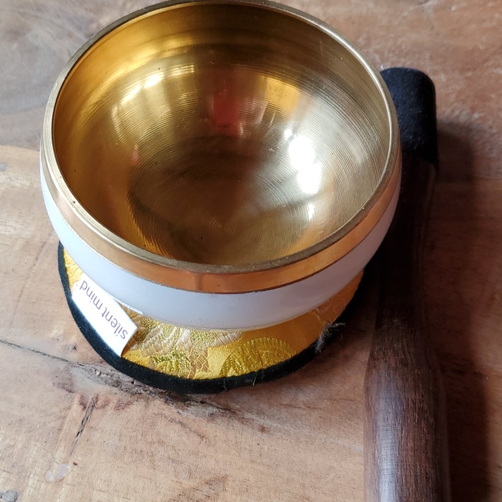 Silent mind singing bowl set with mallet + cushion